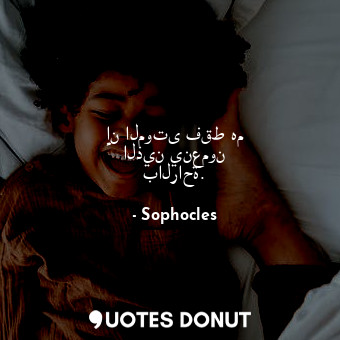  إن الموتى فقط هم الذين ينعمون بالراحة.... - Sophocles - Quotes Donut