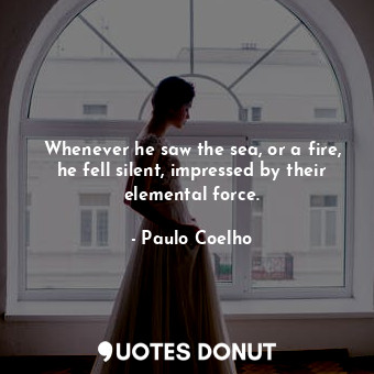 Whenever he saw the sea, or a fire, he fell silent, impressed by their elemental force.