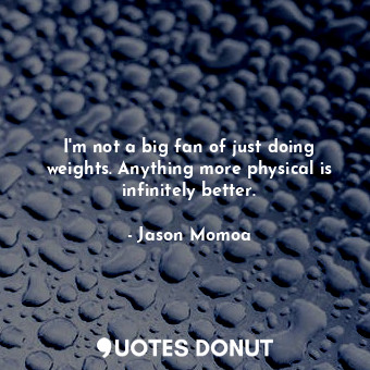  I&#39;m not a big fan of just doing weights. Anything more physical is infinitel... - Jason Momoa - Quotes Donut