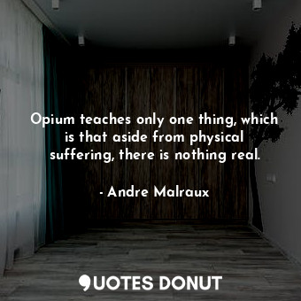  Opium teaches only one thing, which is that aside from physical suffering, there... - Andre Malraux - Quotes Donut