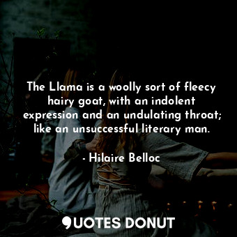 The Llama is a woolly sort of fleecy hairy goat, with an indolent expression and an undulating throat; like an unsuccessful literary man.