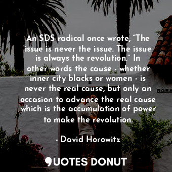 An SDS radical once wrote, “The issue is never the issue. The issue is always the revolution.” In other words the cause - whether inner city blacks or women - is never the real cause, but only an occasion to advance the real cause which is the accumulation of power to make the revolution.