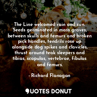  The Line welcomed rain and sun. Seeds germinated in mass graves, between skulls ... - Richard Flanagan - Quotes Donut