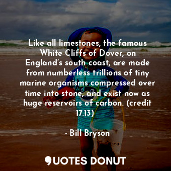  Like all limestones, the famous White Cliffs of Dover, on England’s south coast,... - Bill Bryson - Quotes Donut