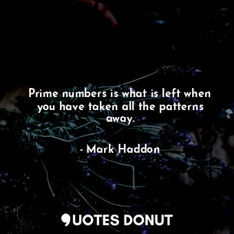 Prime numbers is what is left when you have taken all the patterns away.