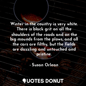  Winter in the country is very white. There is black grit on all the shoulders of... - Susan Orlean - Quotes Donut