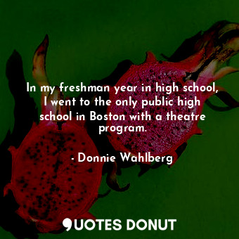 In my freshman year in high school, I went to the only public high school in Boston with a theatre program.