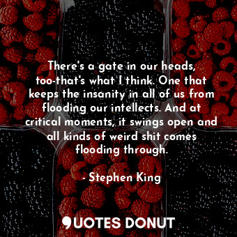 There's a gate in our heads, too-that's what I think. One that keeps the insanity in all of us from flooding our intellects. And at critical moments, it swings open and all kinds of weird shit comes flooding through.