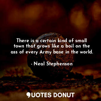  There is a certain kind of small town that grows like a boil on the ass of every... - Neal Stephenson - Quotes Donut