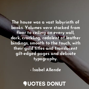 The house was a vast labyrinth of books. Volumes were stacked from floor to ceiling on every wall, dark, crackling, redolent of leather bindings, smooth to the touch, with their gold titles and translucent gilt-edged pages and delicate typography.