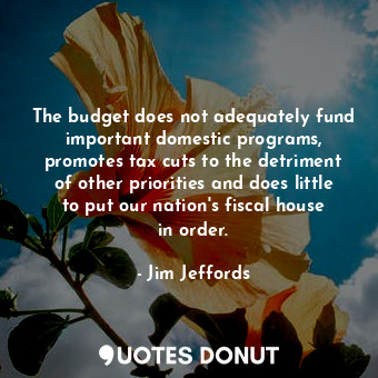 The budget does not adequately fund important domestic programs, promotes tax cuts to the detriment of other priorities and does little to put our nation&#39;s fiscal house in order.
