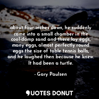 about four inches down, he suddenly came into a small chamber in the cool-damp sand and there lay eggs, many eggs, almost perfectly round eggs the size of table tennis balls, and he laughed then because he knew. It had been a turtle.