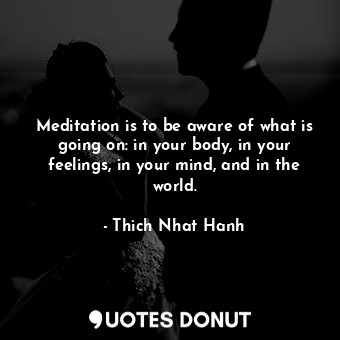  Meditation is to be aware of what is going on: in your body, in your feelings, i... - Thich Nhat Hanh - Quotes Donut