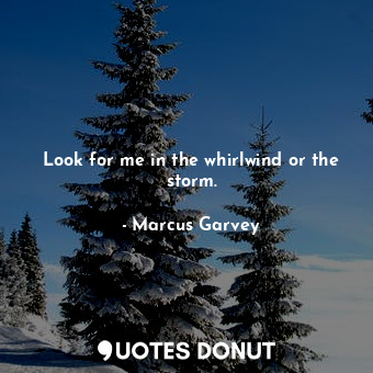  Look for me in the whirlwind or the storm.... - Marcus Garvey - Quotes Donut