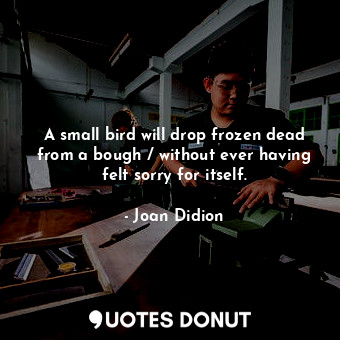 A small bird will drop frozen dead from a bough / without ever having felt sorry for itself.