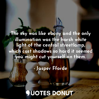  The sky was like ebony and the only illumination was the harsh white light of th... - Jasper Fforde - Quotes Donut