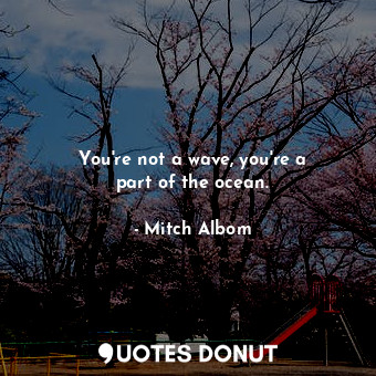  You&#39;re not a wave, you&#39;re a part of the ocean.... - Mitch Albom - Quotes Donut