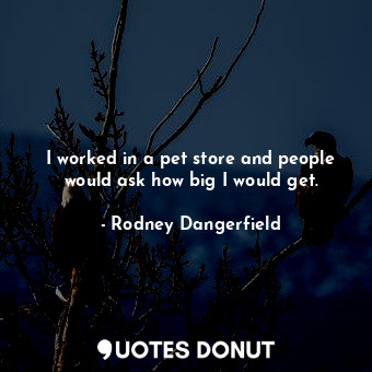  I worked in a pet store and people would ask how big I would get.... - Rodney Dangerfield - Quotes Donut