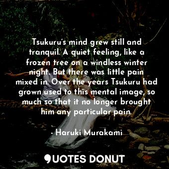 Tsukuru’s mind grew still and tranquil. A quiet feeling, like a frozen tree on a windless winter night. But there was little pain mixed in. Over the years Tsukuru had grown used to this mental image, so much so that it no longer brought him any particular pain.