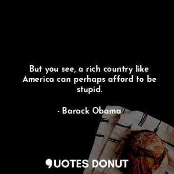 But you see, a rich country like America can perhaps afford to be stupid.