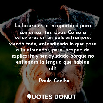 La locura es la incapacidad para comunicar tus ideas. Como si estuvieras en un país extranjero, viendo todo, entendiendo lo que pasa a tu alrededor, pero incapaz de explicarte y ser ayudado porque no entiendes la lengua que hablan allí.