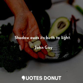  Shadow owes its birth to light.... - John Gay - Quotes Donut