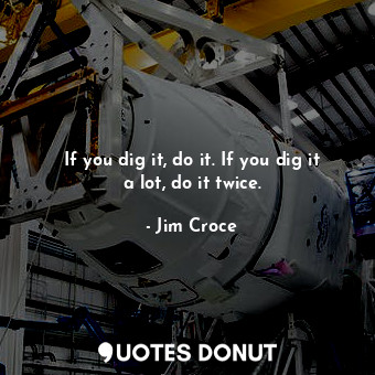  If you dig it, do it. If you dig it a lot, do it twice.... - Jim Croce - Quotes Donut