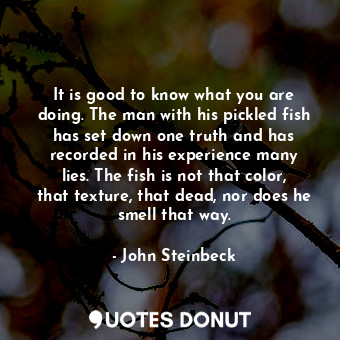 It is good to know what you are doing. The man with his pickled fish has set down one truth and has recorded in his experience many lies. The fish is not that color, that texture, that dead, nor does he smell that way.
