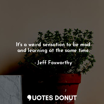  It&#39;s a weird sensation to be mad and learning at the same time.... - Jeff Foxworthy - Quotes Donut