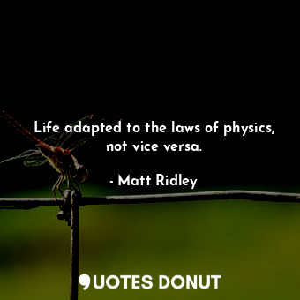 Life adapted to the laws of physics, not vice versa.