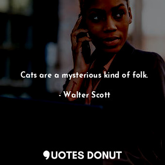 Cats are a mysterious kind of folk.
