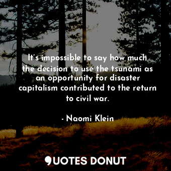 It’s impossible to say how much the decision to use the tsunami as an opportunity for disaster capitalism contributed to the return to civil war.