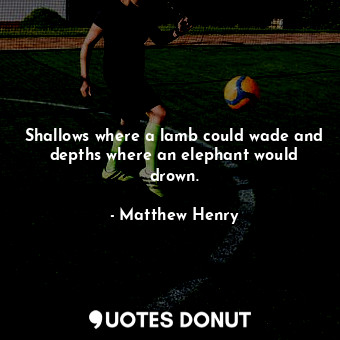  Shallows where a lamb could wade and depths where an elephant would drown.... - Matthew Henry - Quotes Donut