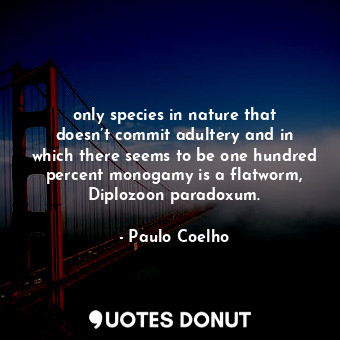  only species in nature that doesn’t commit adultery and in which there seems to ... - Paulo Coelho - Quotes Donut