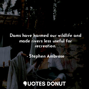 Dams have harmed our wildlife and made rivers less useful for recreation.