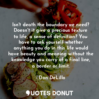 Isn't death the boundary we need? Doesn't it give a precious texture to life, a sense of definition? You have to ask yourself whether anything you do in this life would have beauty and meaning without the knowledge you carry of a final line, a border or limit.