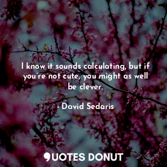  I know it sounds calculating, but if you’re not cute, you might as well be cleve... - David Sedaris - Quotes Donut