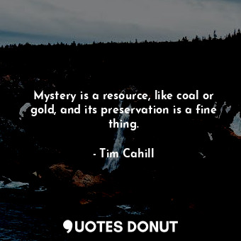 Mystery is a resource, like coal or gold, and its preservation is a fine thing.