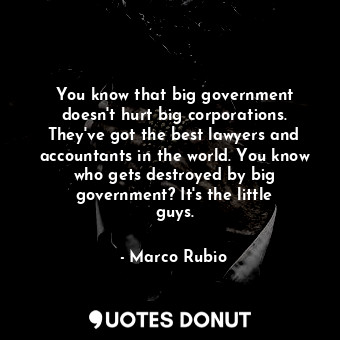 You know that big government doesn&#39;t hurt big corporations. They&#39;ve got the best lawyers and accountants in the world. You know who gets destroyed by big government? It&#39;s the little guys.
