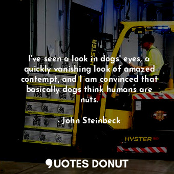 I've seen a look in dogs' eyes, a quickly vanishing look of amazed contempt, and I am convinced that basically dogs think humans are nuts.