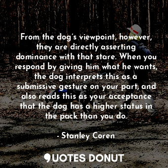 From the dog’s viewpoint, however, they are directly asserting dominance with that stare. When you respond by giving him what he wants, the dog interprets this as a submissive gesture on your part, and also reads this as your acceptance that the dog has a higher status in the pack than you do.