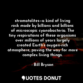  stromatolites—a kind of living rock made by billions and billions of microscopic... - Bill Bryson - Quotes Donut