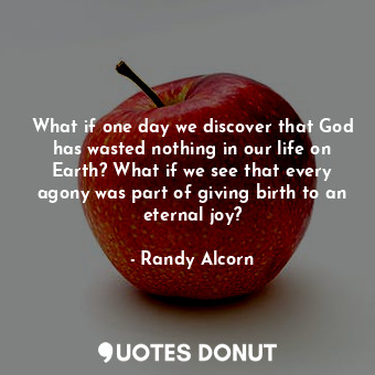 What if one day we discover that God has wasted nothing in our life on Earth? What if we see that every agony was part of giving birth to an eternal joy?