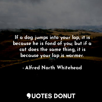  If a dog jumps into your lap, it is because he is fond of you; but if a cat does... - Alfred North Whitehead - Quotes Donut