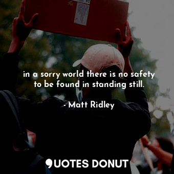  in a sorry world there is no safety to be found in standing still.... - Matt Ridley - Quotes Donut