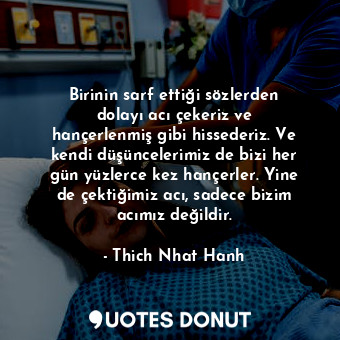  Birinin sarf ettiği sözlerden dolayı acı çekeriz ve hançerlenmiş gibi hissederiz... - Thich Nhat Hanh - Quotes Donut