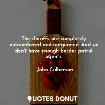 The sheriffs are completely outnumbered and outgunned. And we don&#39;t have enough border patrol agents.