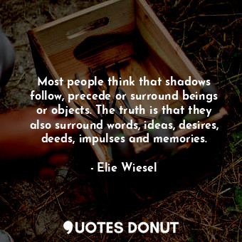 Most people think that shadows follow, precede or surround beings or objects. The truth is that they also surround words, ideas, desires, deeds, impulses and memories.