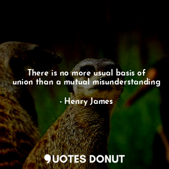 There is no more usual basis of union than a mutual misunderstanding