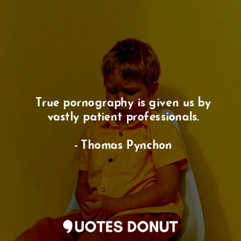  True pornography is given us by vastly patient professionals.... - Thomas Pynchon - Quotes Donut